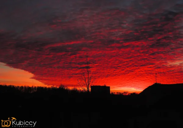 Dramatyczny zachód słońca z głęboko czerwonymi i pomarańczowymi chmurami wypełniającymi niebo nad ciemnymi sylwetkami budynków i drzew. Horyzont świeci jasno, kontrastując z ciemnym pierwszym planem. - Kubiccy Fotografia - Fotograf Łódź