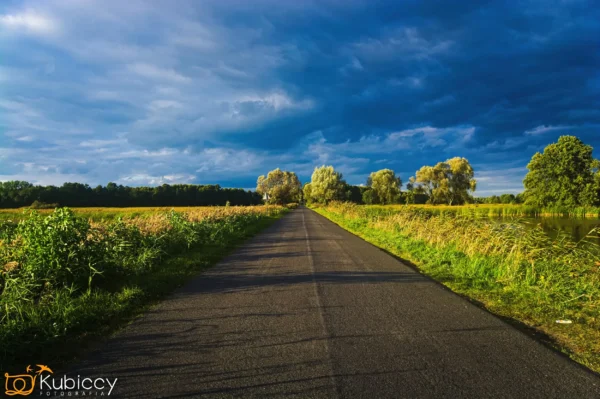 Długa, pusta droga ciągnie się w oddali przez zielone pola, porośnięte wysoką trawą i drzewami, pod dramatycznym, zachmurzonym niebem. Światło słoneczne podkreśla część krajobrazu. - Kubiccy Fotografia - Fotograf Łódź