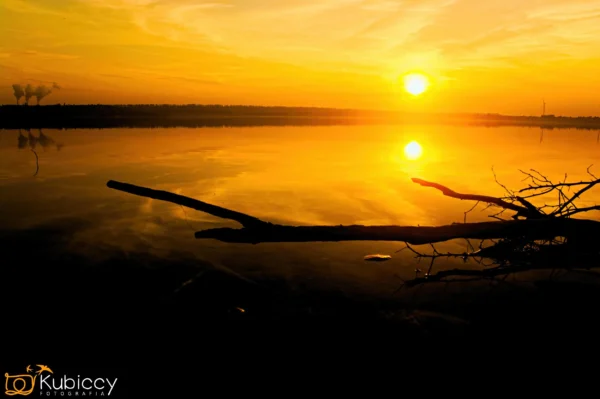 Złoty zachód słońca odbija się na spokojnym jeziorze, tworząc sylwetkę dużej gałęzi na pierwszym planie. Niebo zasnute jest delikatnymi chmurami, a na horyzoncie widać słaby dym lub mgłę. - Kubiccy Fotografia - Fotograf Łódź