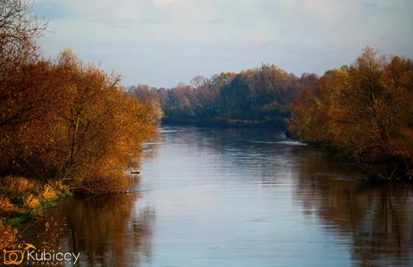 Spokojna rzeka płynie między drzewami z jesiennymi liśćmi pod zachmurzonym niebem. Woda odbija ciepłe kolory otaczających drzew, tworząc spokojny, pogodny krajobraz. - Kubiccy Fotografia - Fotograf Łódź