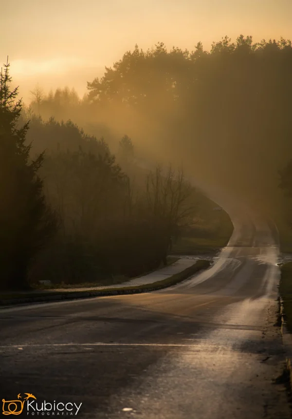 Kręta droga rozciąga się w oddali, otoczona drzewami i skąpana w miękkim złotym świetle wschodzącego lub zachodzącego słońca, z mgłą tworzącą pogodną i nastrojową scenę. - Kubiccy Fotografia - Fotograf Łódź
