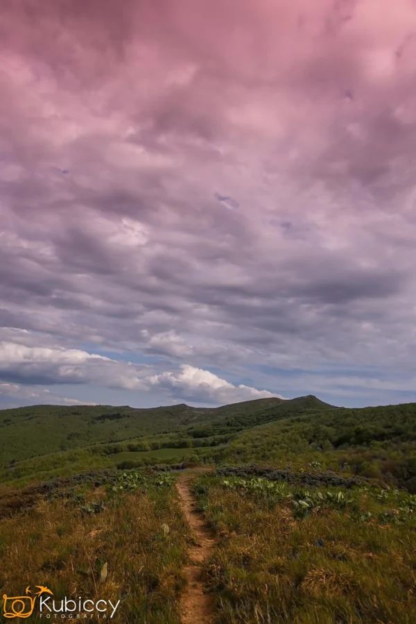 Wąska polna ścieżka wije się przez trawiaste wzgórza w kierunku odległych zielonych gór pod dramatycznym, zachmurzonym niebem zabarwionym odcieniami różu i fioletu. - Kubiccy Fotografia - Fotograf Łódź
