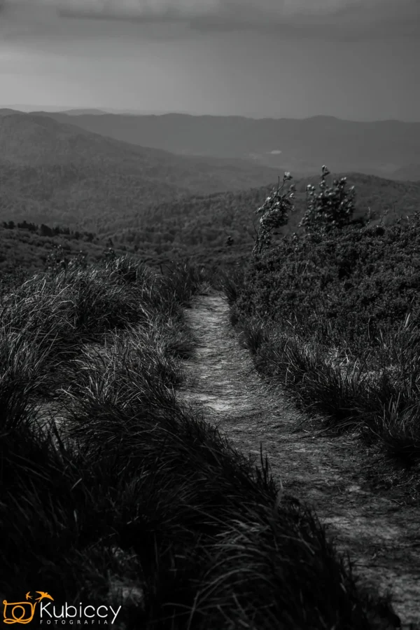 Wąska polna ścieżka wije się przez wysoką trawę i krzaki na zboczu góry, z odległymi wzgórzami widocznymi pod zachmurzonym niebem w czerni i bieli. - Kubiccy Fotografia - Fotograf Łódź